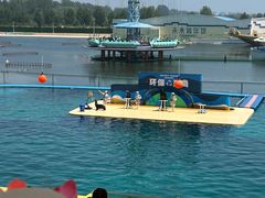 -秦皇岛乐岛海洋王国