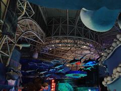 -烟台海昌鲸鲨海洋公园