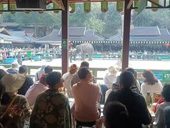-野象谷景区