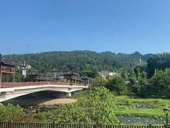 -老唐三下锅 ·张家界地标美食(溪布街店)