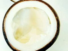 -志龙皇冠吃货椰子铺