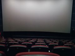 -金太狼4k国际影城