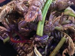 -红盔甲·小龙虾(天钥桥店)