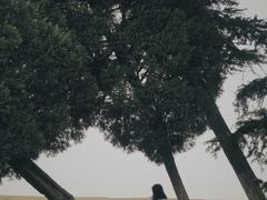 -钟山体育运动公园