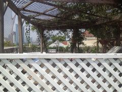 6190_394005465_IMG_4267-娜娜度假小旅馆