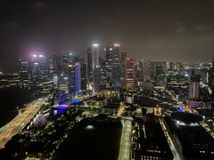 -新加坡瑞士史丹福酒店