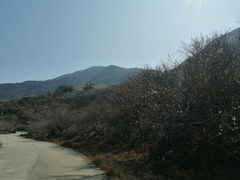 -广州市流溪河国家森林公园