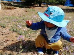 -永定河休闲森林公园