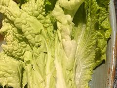 -老墙根涮肉·铜锅·烧烤(欢乐谷·王四营店)