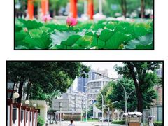 -四川大学(望江校区)