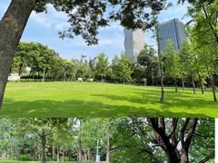 -新虹桥中心花园