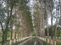 -东郊湿地公园