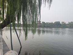 -后海公园