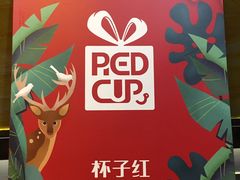 -杯子红牛排(西樵店)