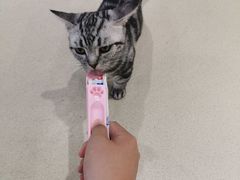 -藏猫猫咖啡主题馆(中央大道店)