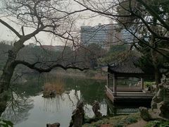 -叶家花园