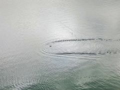 -清溪水库