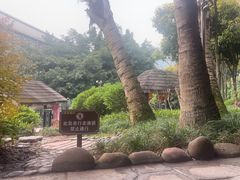 -融汇温泉