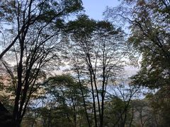 -五女山景区