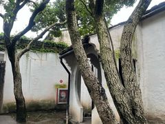 -绍兴鲁迅故里·沈园景区