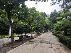 -九龙公园