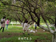 -秀丽东方
