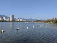 -飞来湖湿地公园