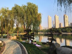 -后襄河公园