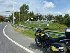 -盐城丹顶鹤湿地生态旅游区