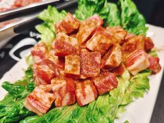 羊肉粒-杨记齐齐哈尔烤肉(五莲路店)