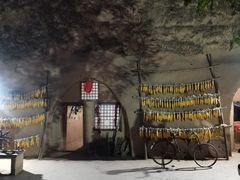 -延安杨家岭革命旧址