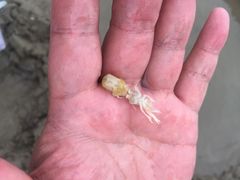 -南澳海滩