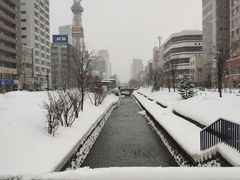 -札幌二条市场 大矶(本店)