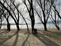 -野鸭湖国家湿地公园