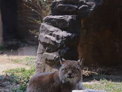 -杭州野生动物世界