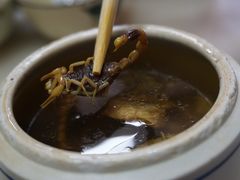 蝎子炖乌鸡-国英炖品店(甲子路店)