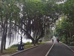 -南宁南湖公园