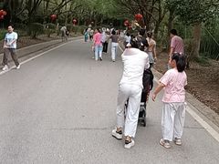 -南京市江宁方山