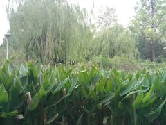 -宁波儿童公园(鄞州区)