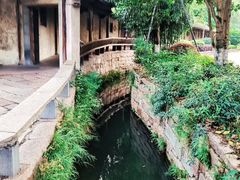 -乌镇景区