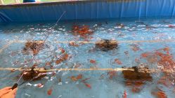 -萌宠亲子动物乐园(槐房万达店)