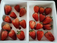 -Edore怡朵·甜点·蛋糕(骏东店)