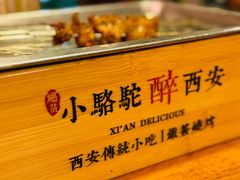 -福苗小骆驼烧烤(莲湖路店)