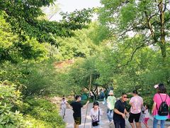 -南山植物园