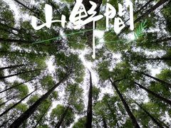 -山王坪喀斯特国家生态公园