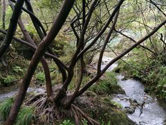 -贵阳市花溪国家城市湿地公园