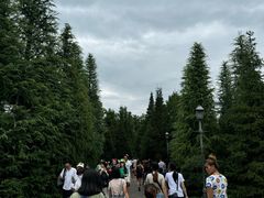 -日本环球影城