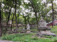 -北京上方山国家森林公园