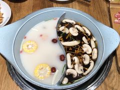 -青瓷火锅料理(西单大悦城店)