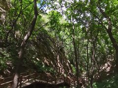 -大岭沟猕猴桃谷风景区